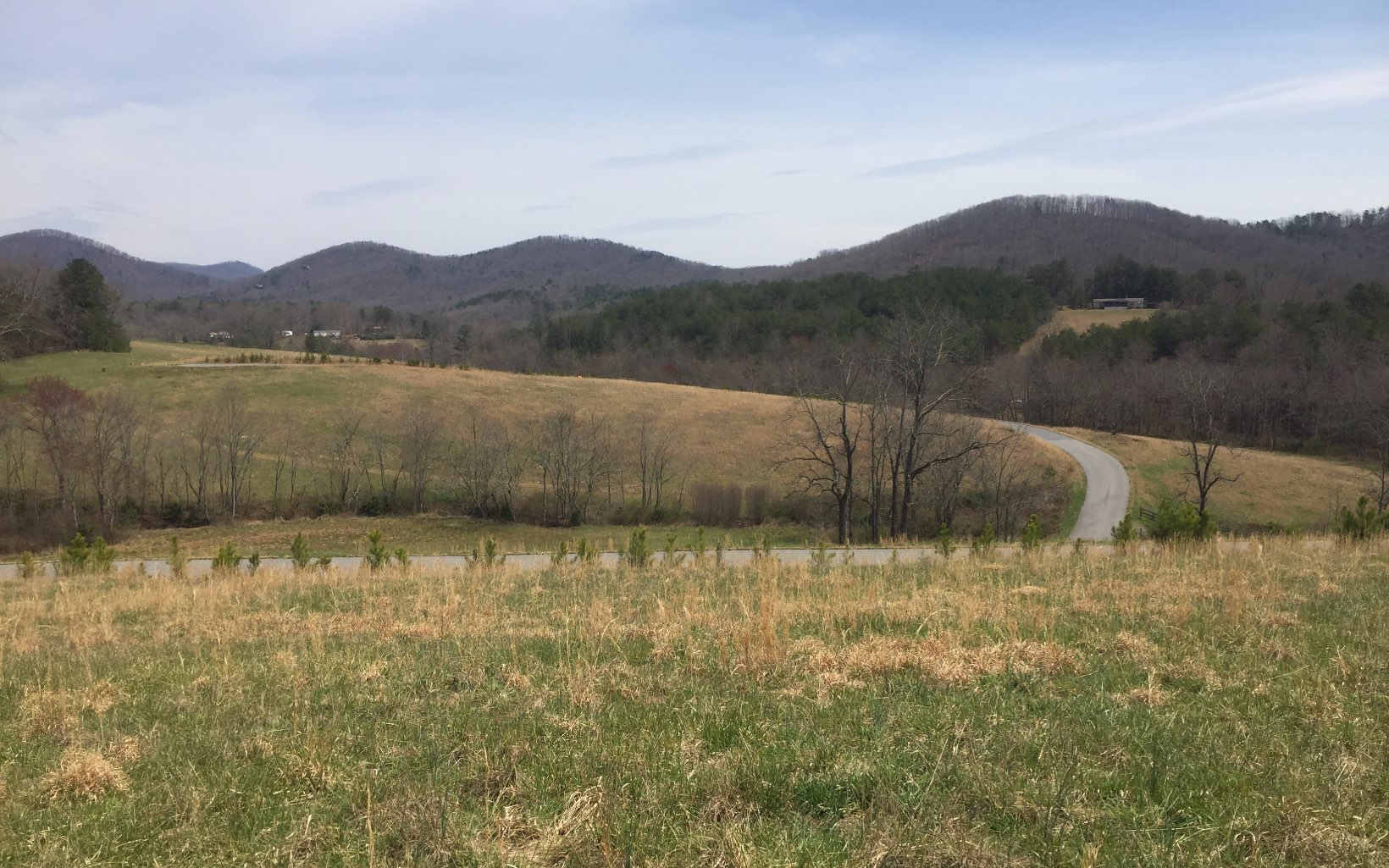 LT 34 Wolf Creek Preserve