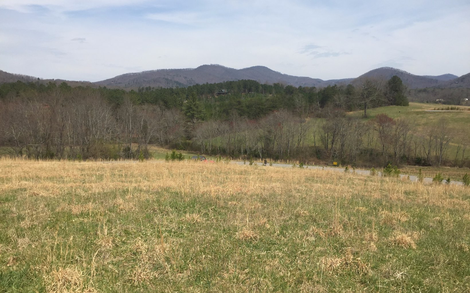 LT 34 Wolf Creek Preserve