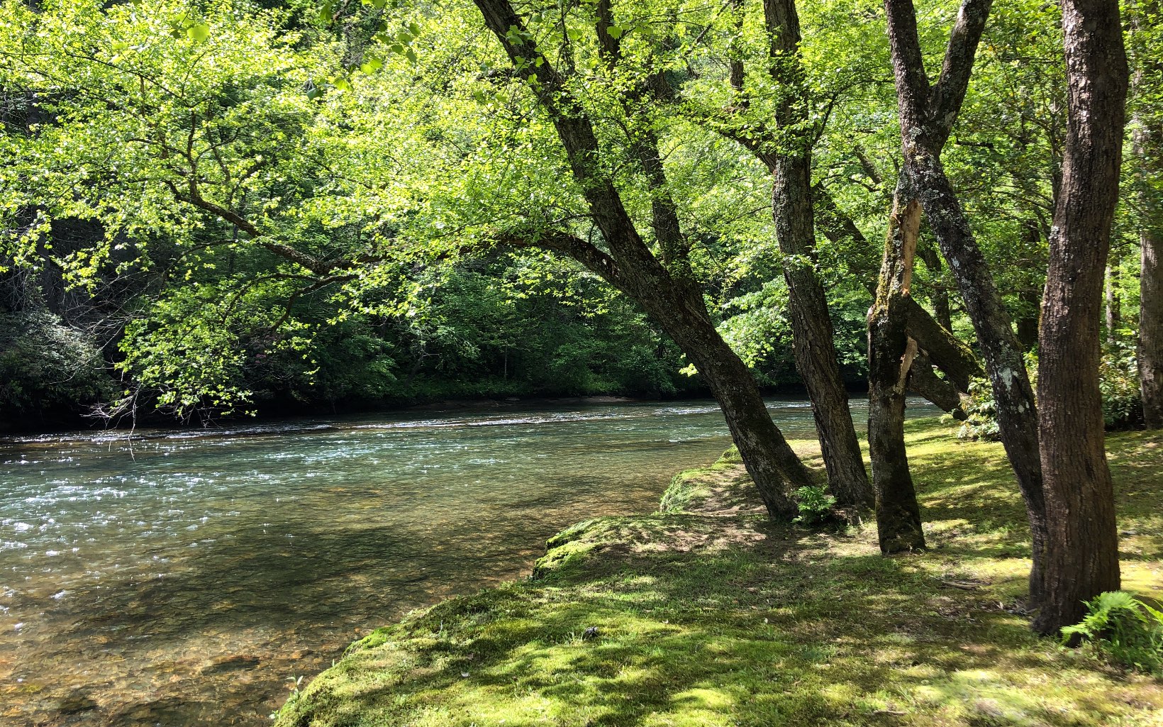 361 River Sound Village