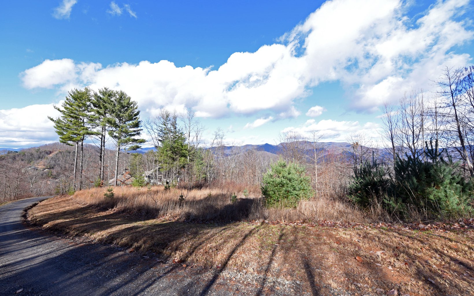 LOT29 Shiloh Overlook