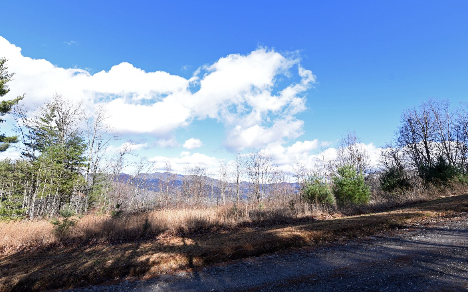 LOT29 Shiloh Overlook