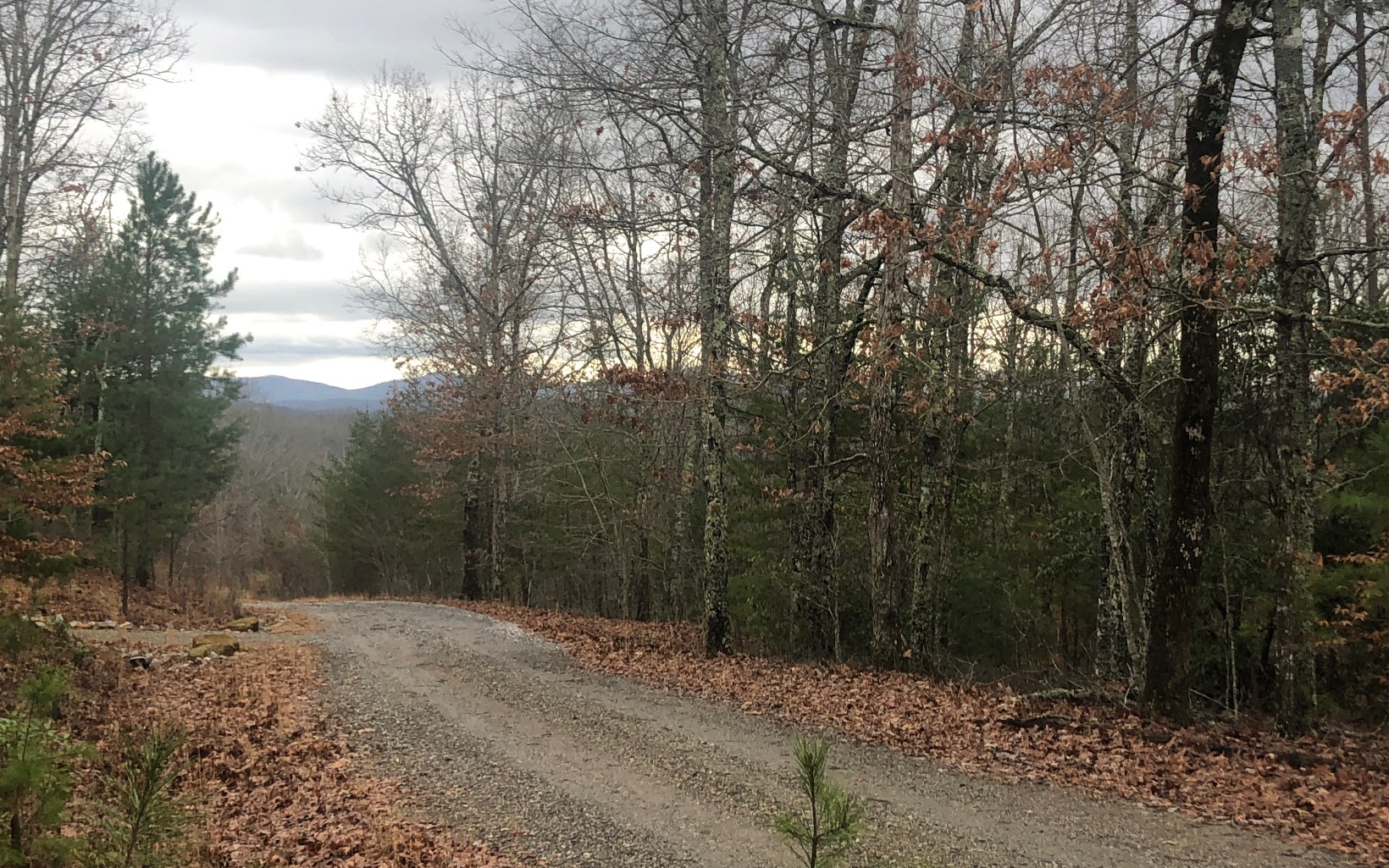 LOT45 Ivy Log Estates V