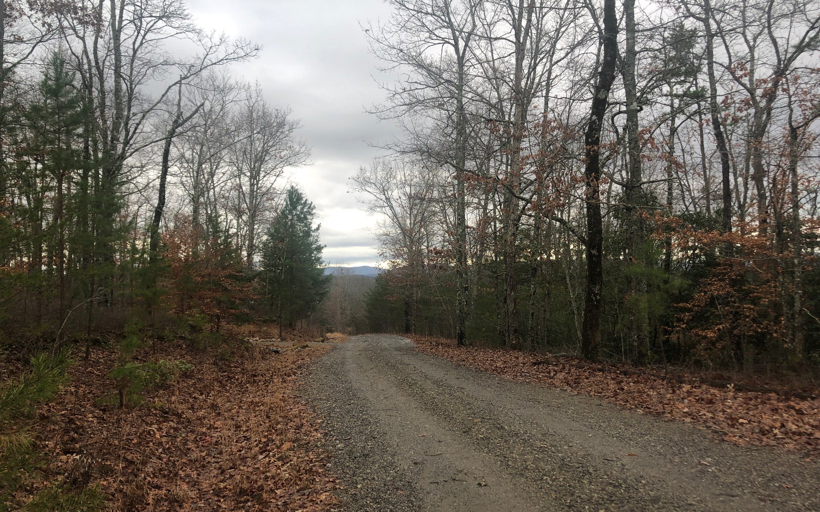 LOT45 Ivy Log Estates V