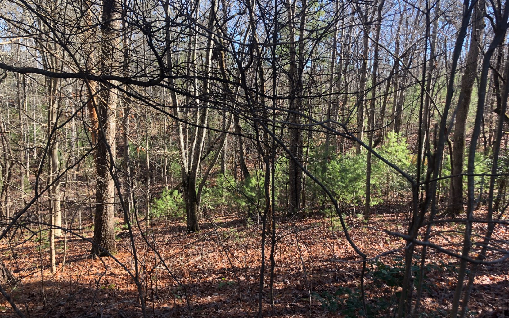 LOT32 Arrowood Court