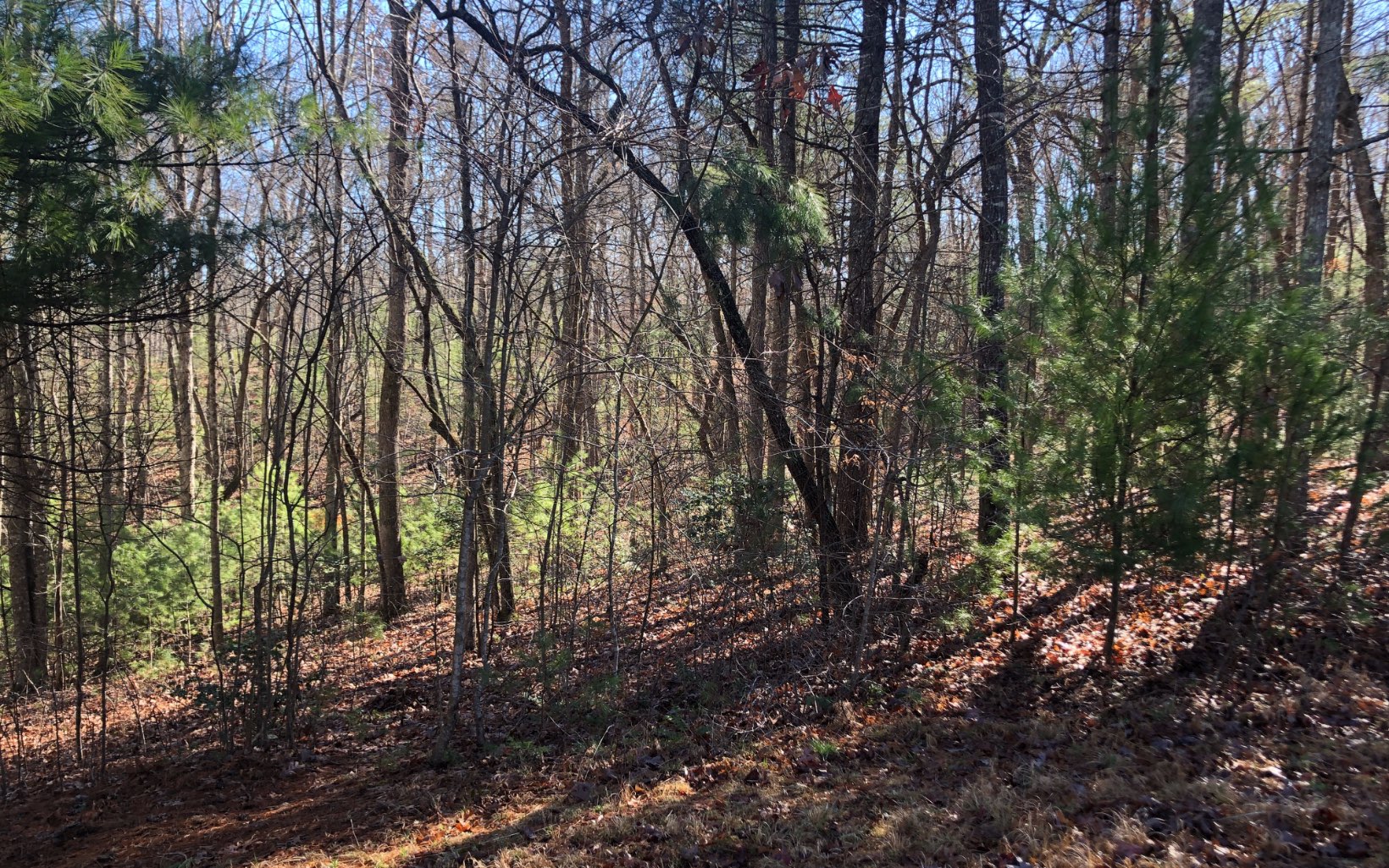 LOT32 Arrowood Court