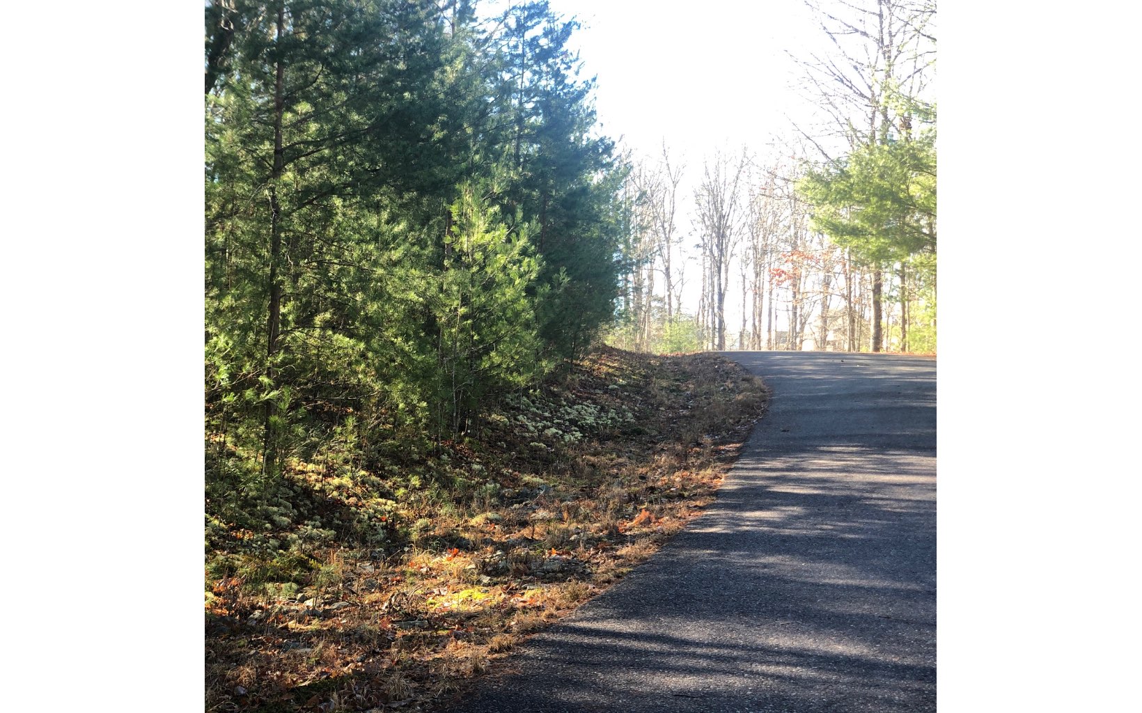 LOT32 Arrowood Court