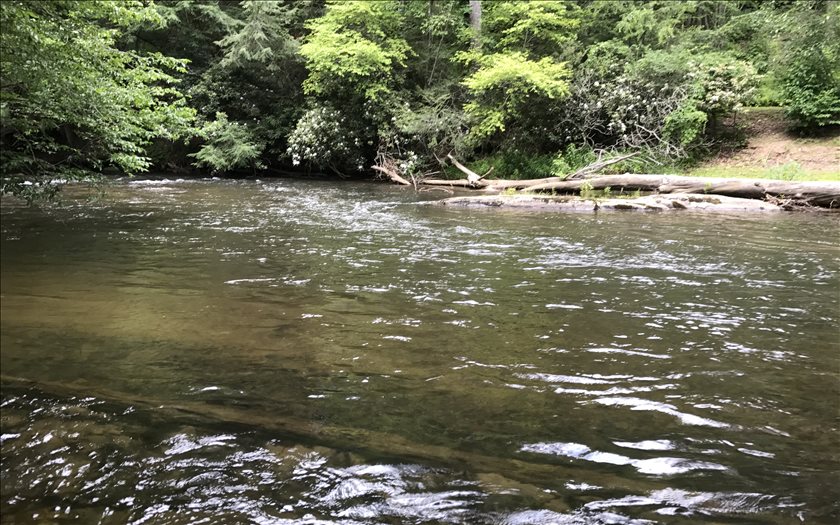 LOT13 The Riverlands