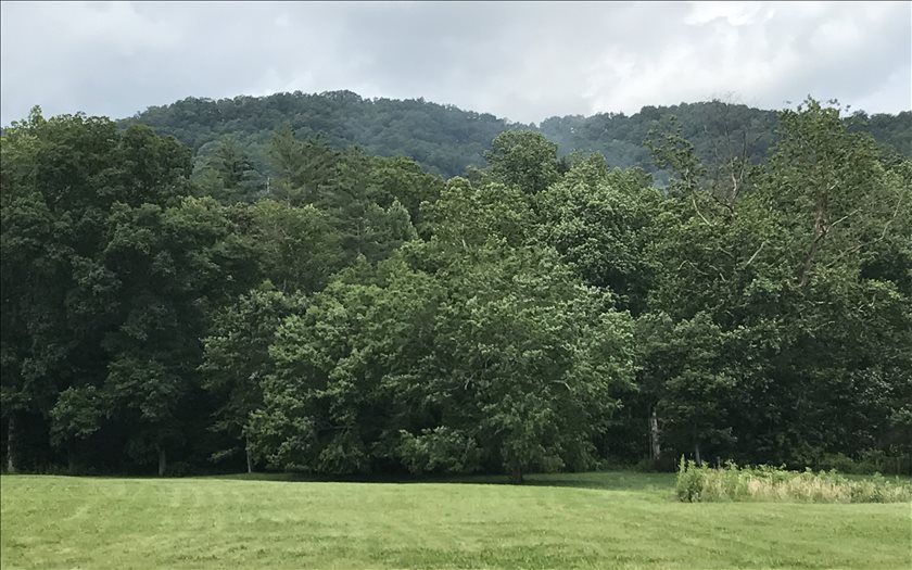 LOT13 The Riverlands