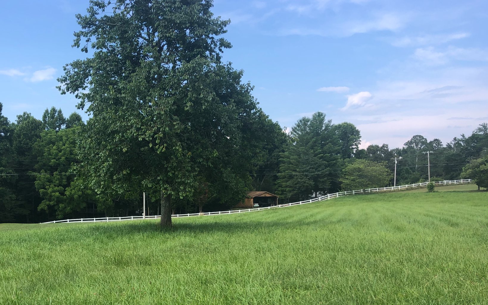 LOT14 Jewel Mason Overlook