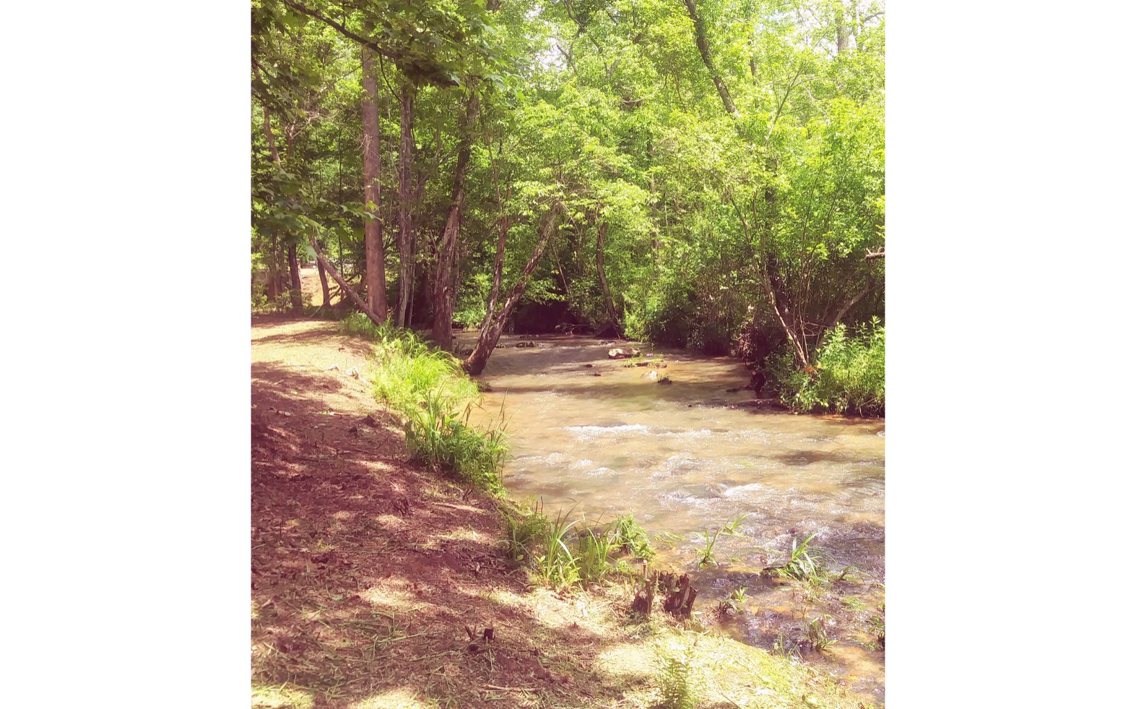 L 38 Wolf Creek Preserve