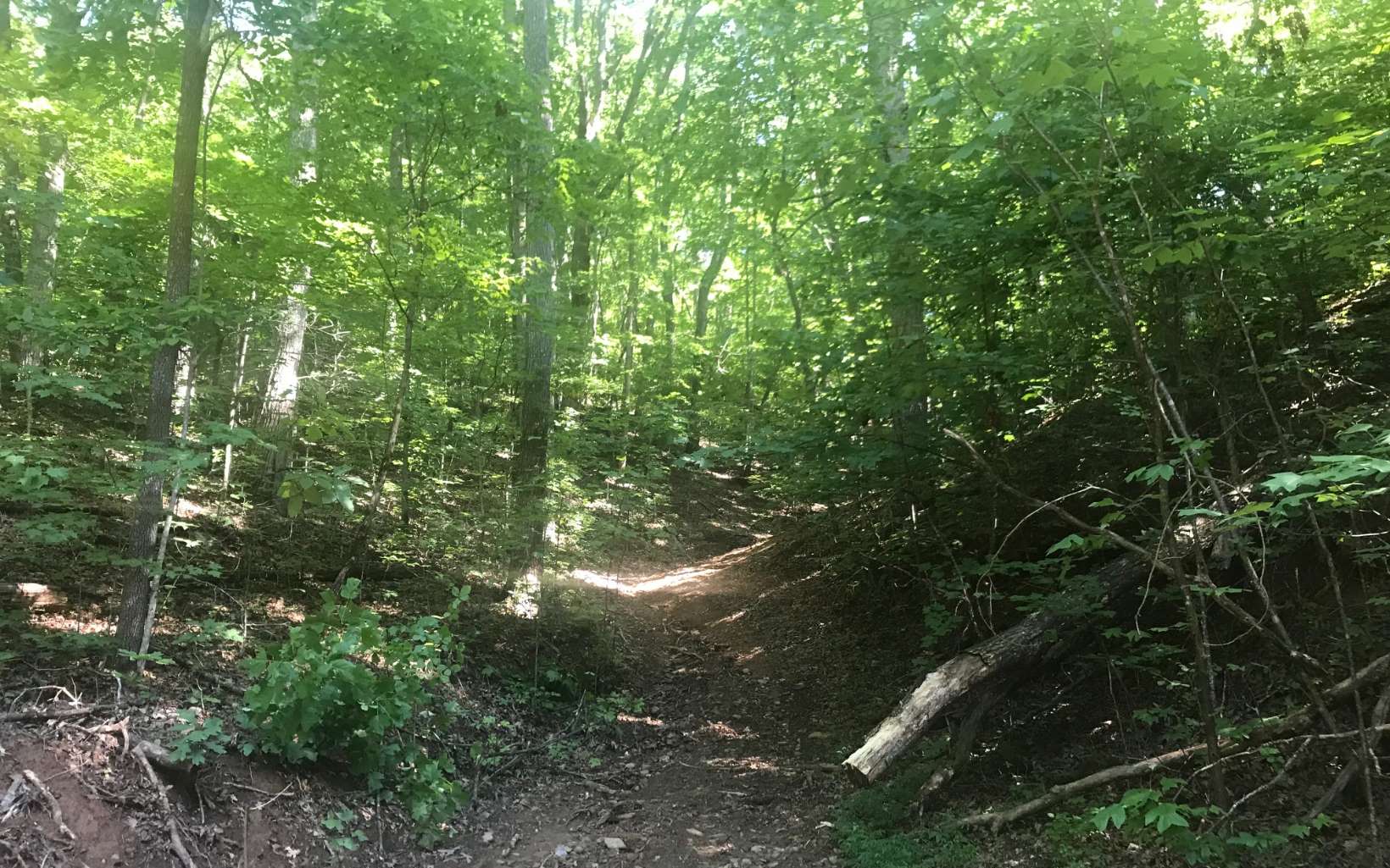 261 Mcdonald Overlook Drive