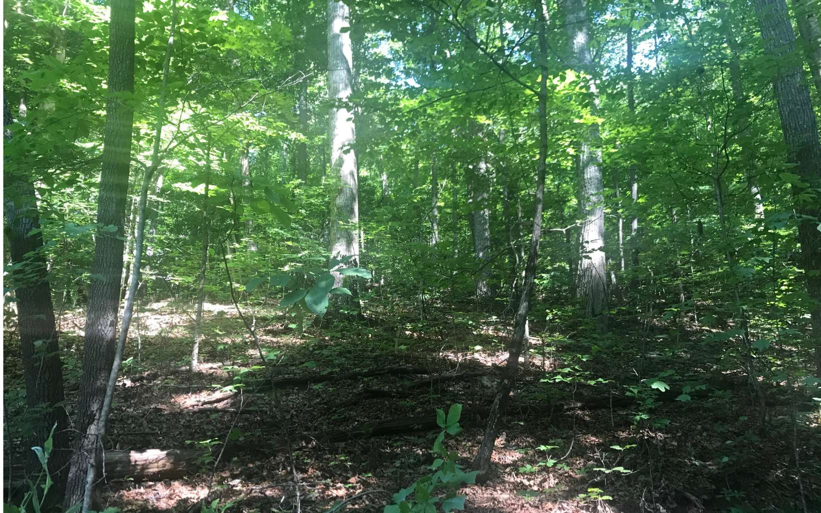 261 Mcdonald Overlook Drive