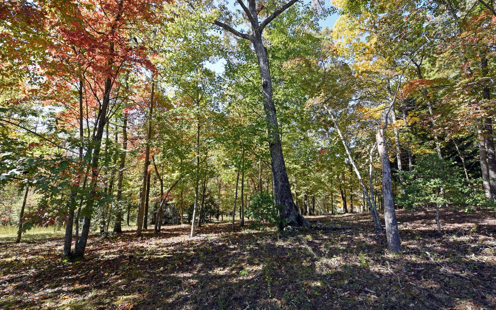 LT 49 Asheland Overlook