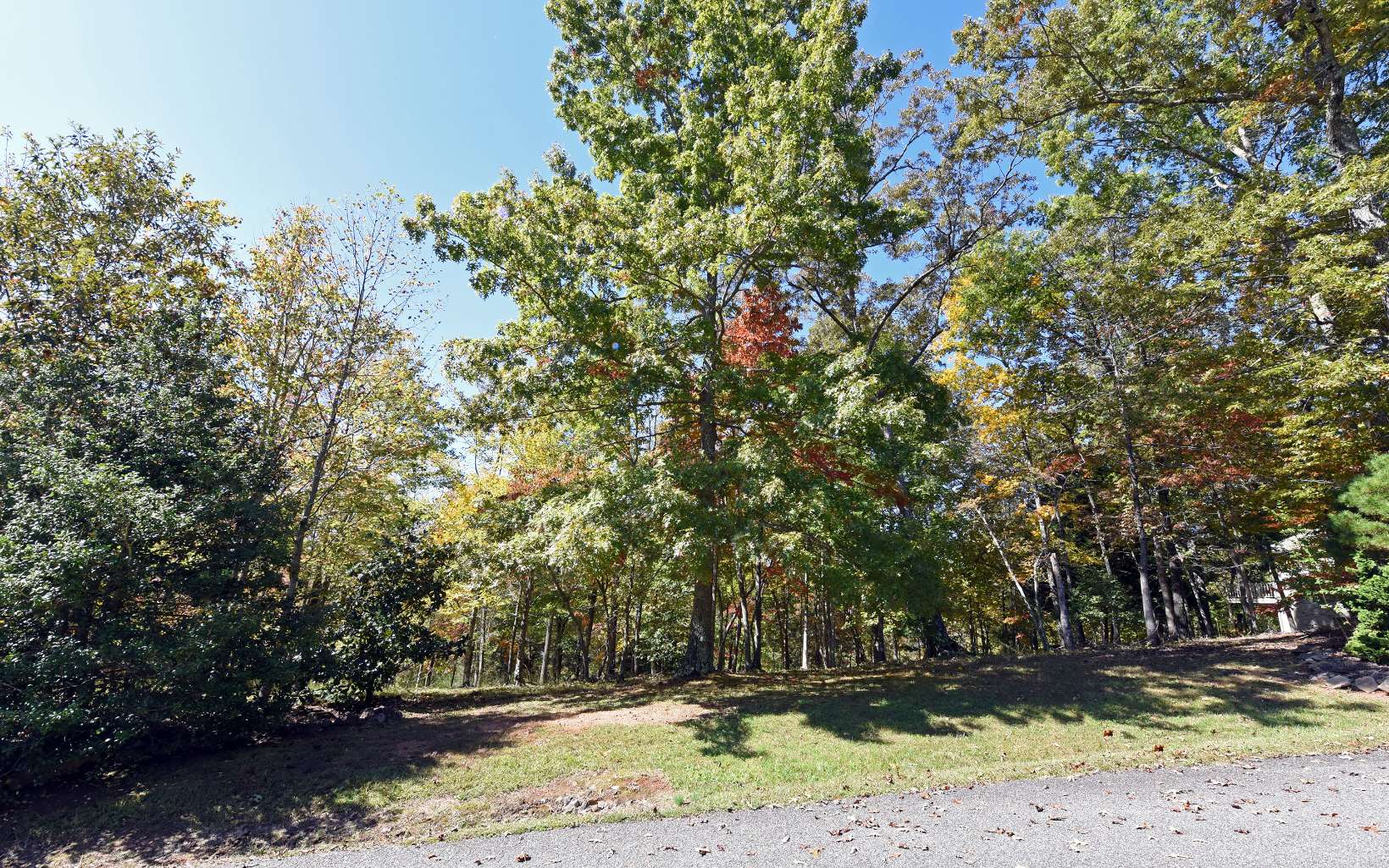 LT 49 Asheland Overlook