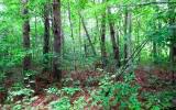 LOT7 Shallowford Lane