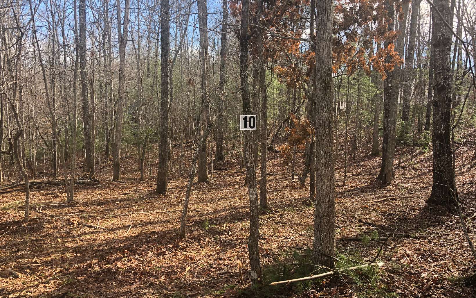 LT 10 Renegade Ridge Road