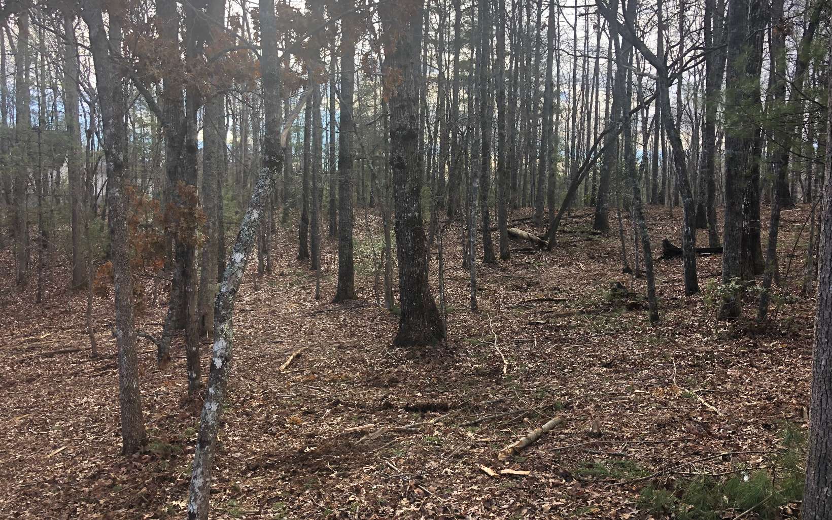 LT 10 Renegade Ridge Road