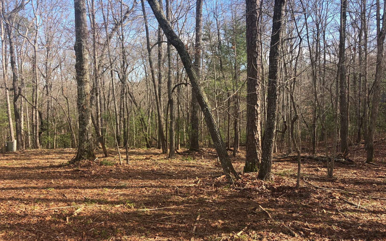 LT 10 Renegade Ridge Road