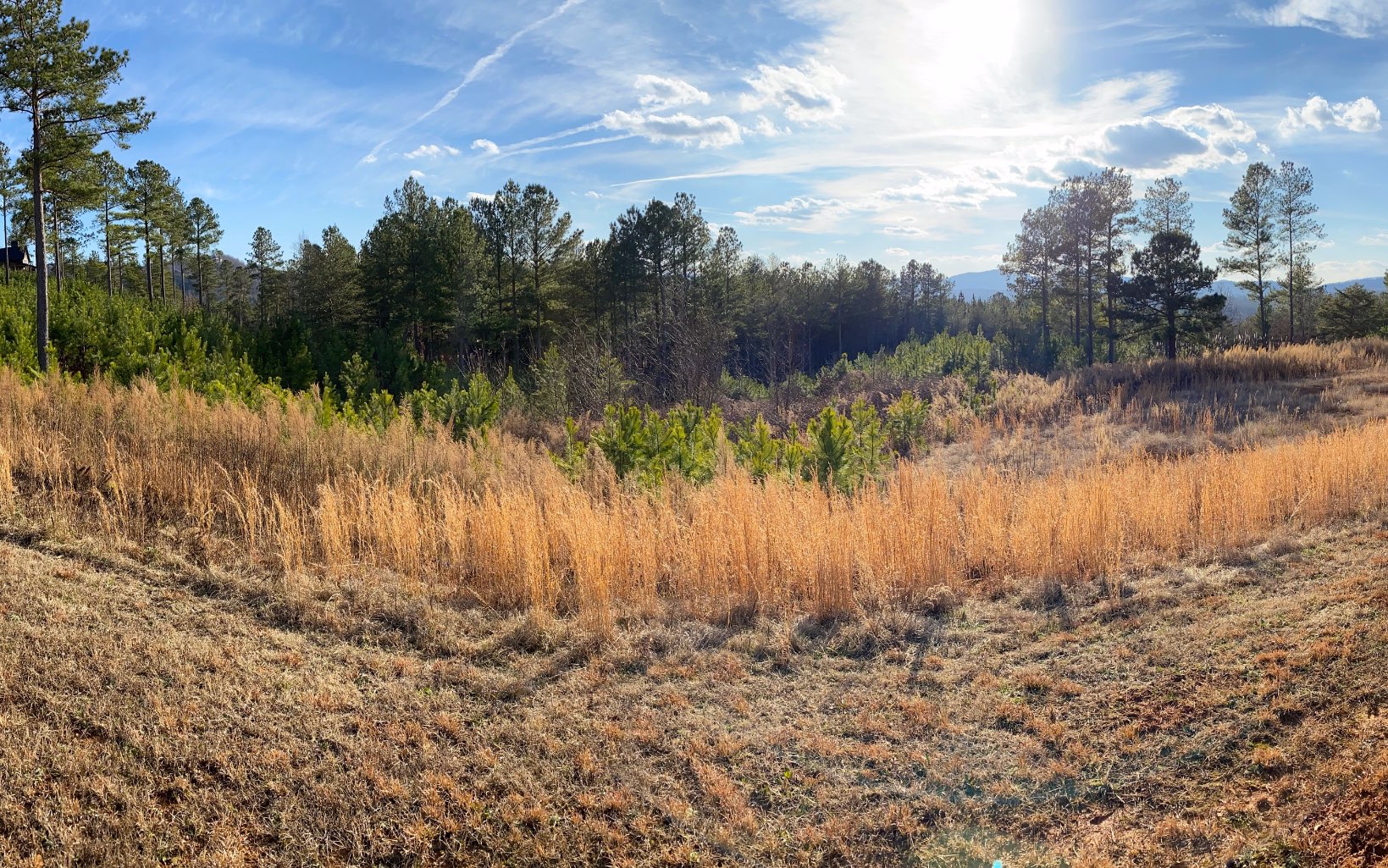 277 Thirteen Hundred