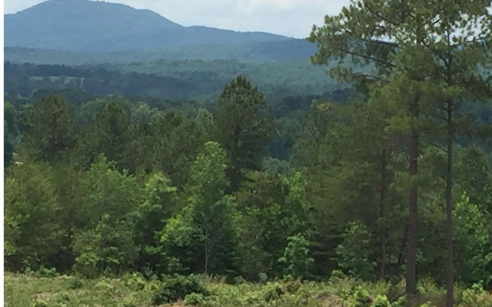 277 Thirteen Hundred