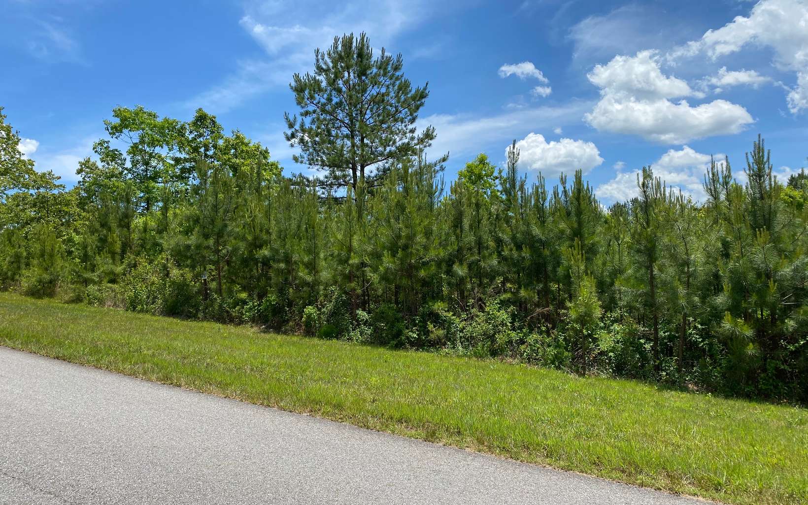 LT 25 Northshore Drive