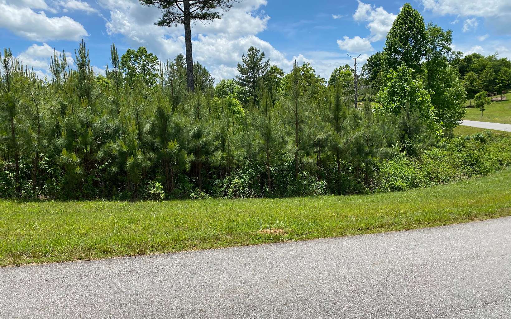 LT 25 Northshore Drive