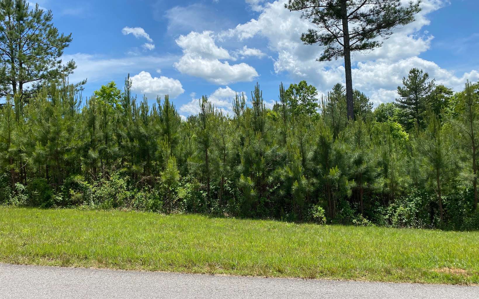 LT 25 Northshore Drive