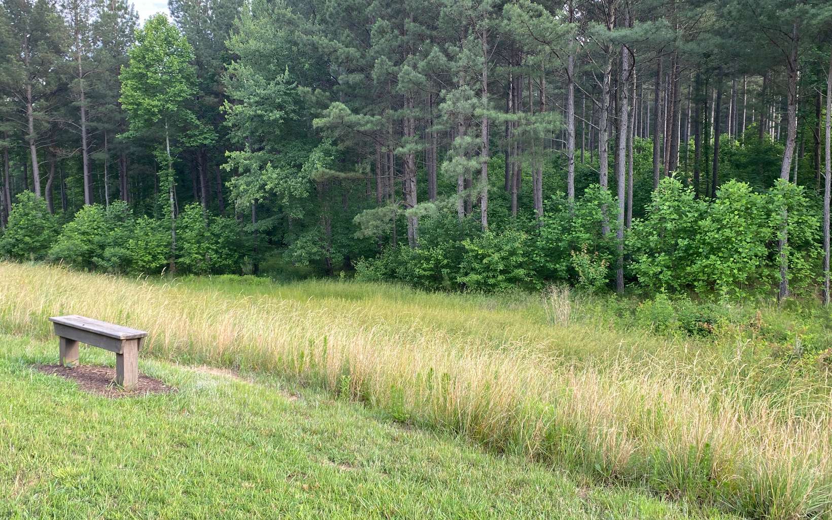 LT150 Thirteen Hundred