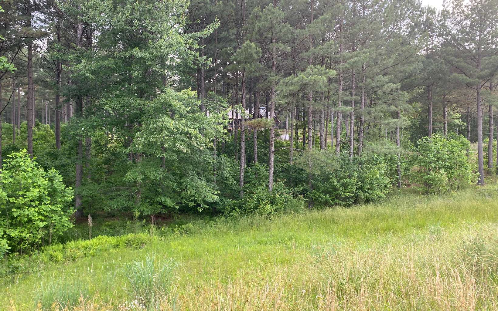 LT150 Thirteen Hundred