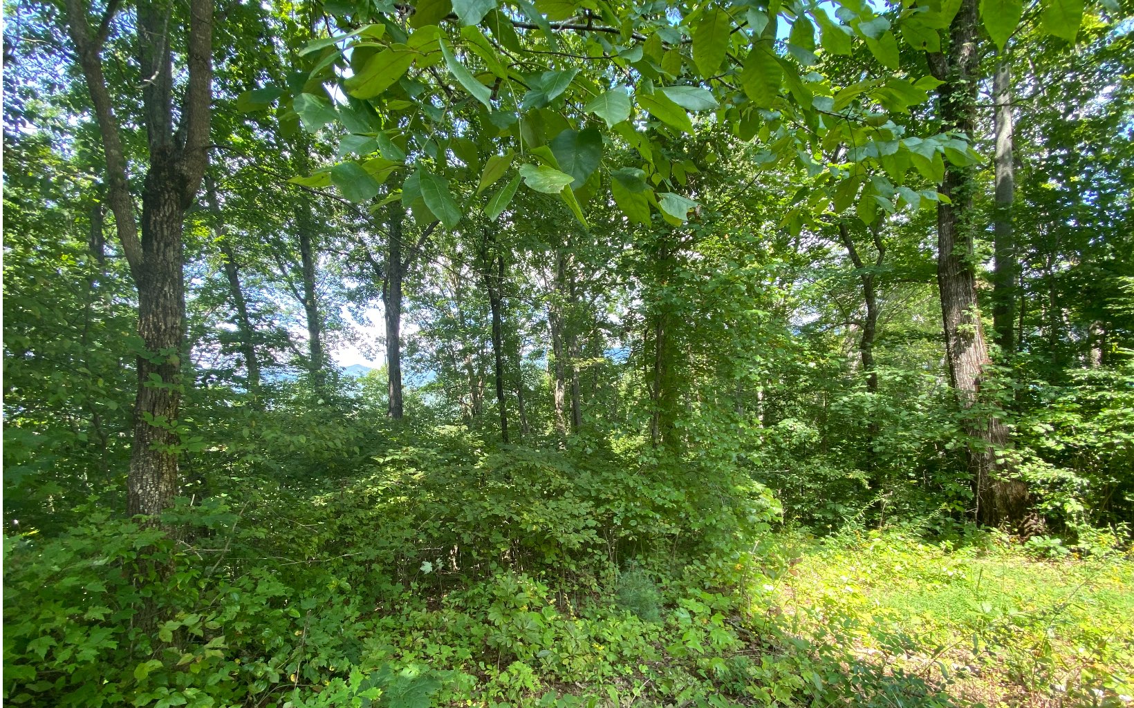 LT112 Shiloh Stables