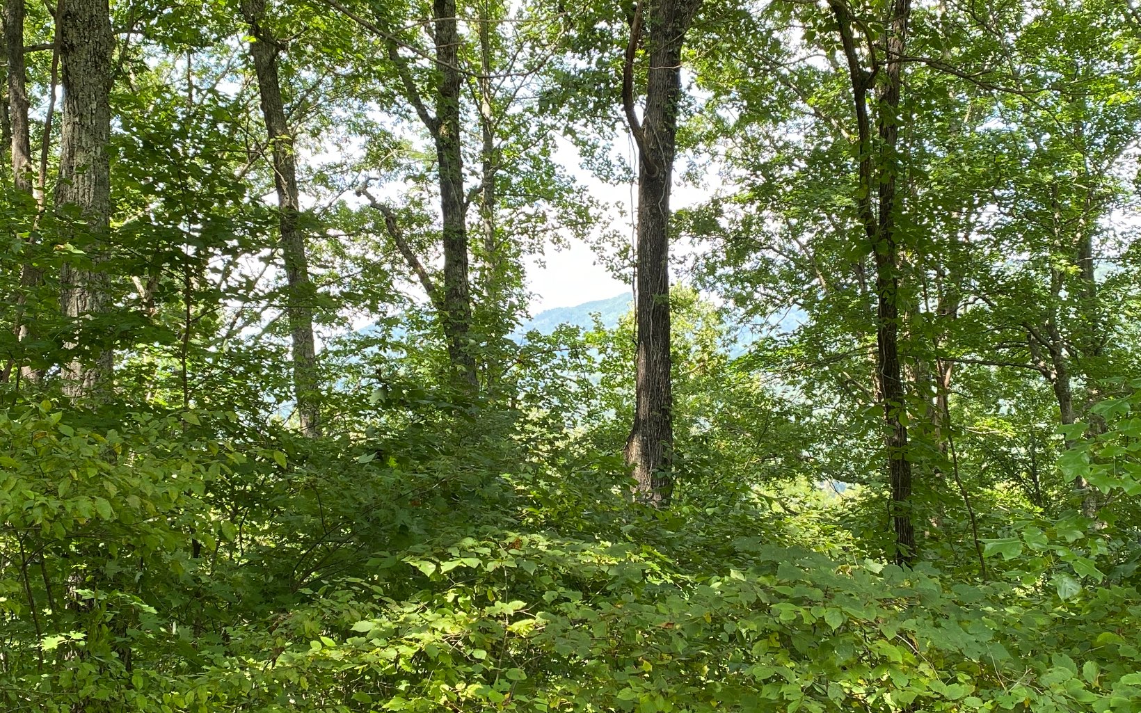 LT112 Shiloh Stables