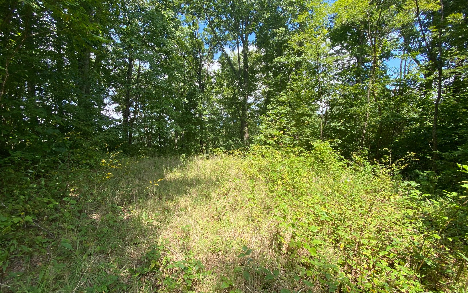 LT113 Shiloh Stables