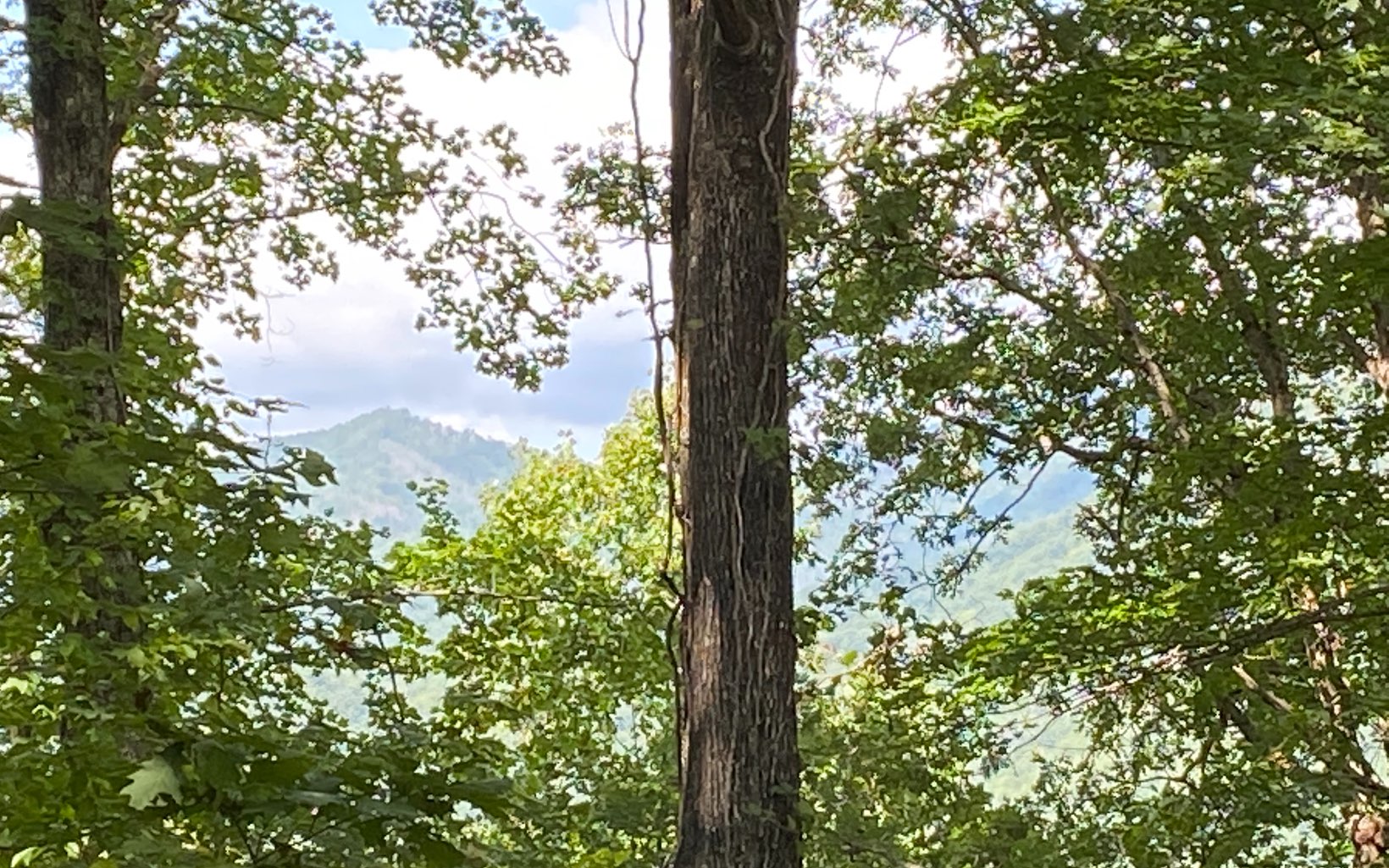 LT113 Shiloh Stables