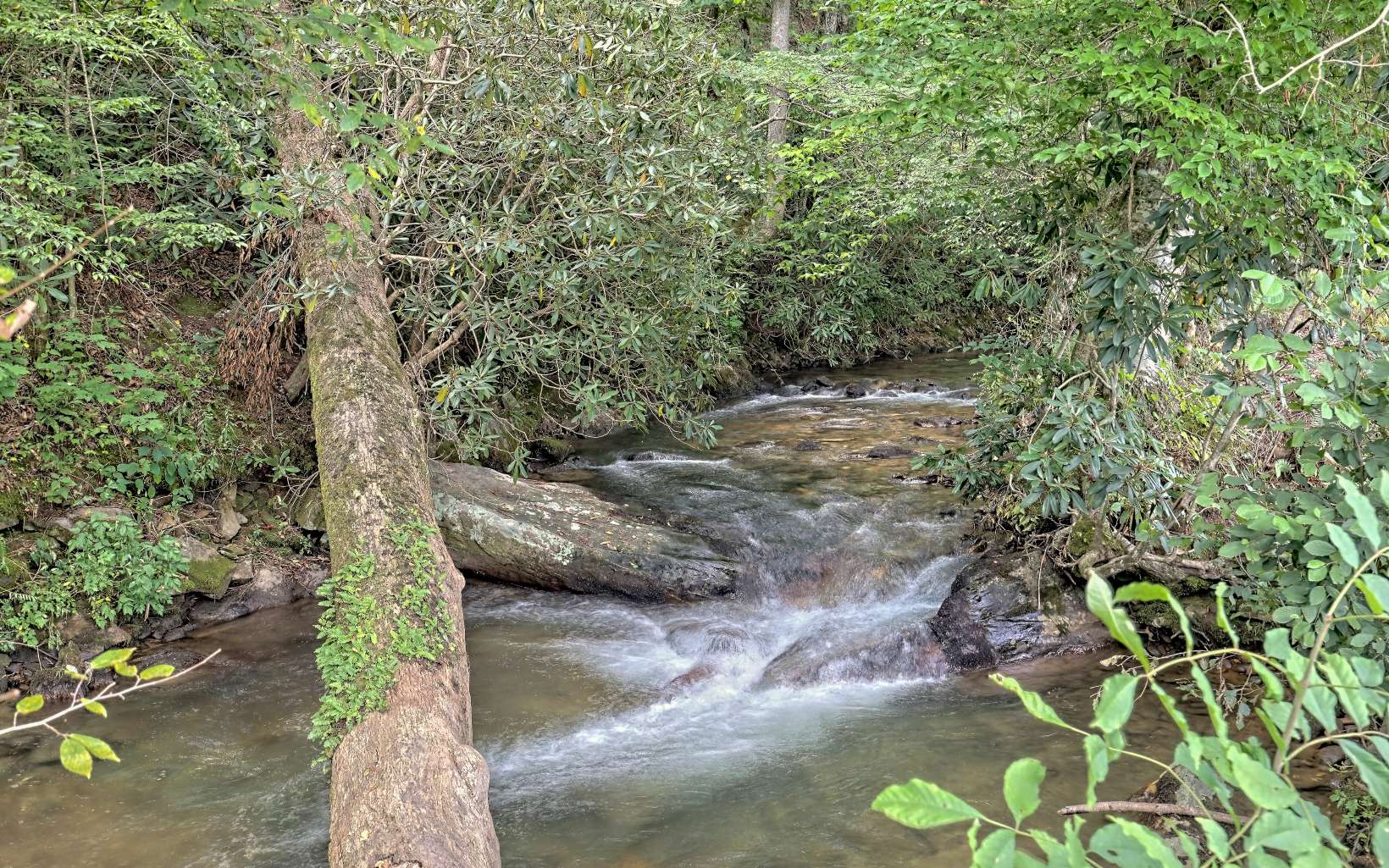 9596 Tusquittee Road