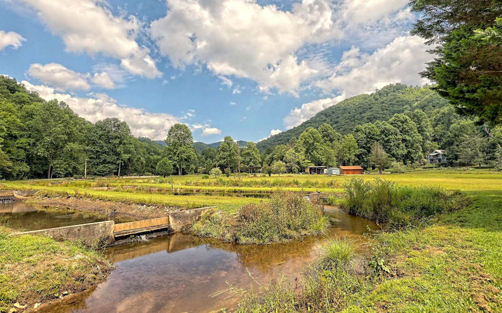 9596 Tusquittee Road