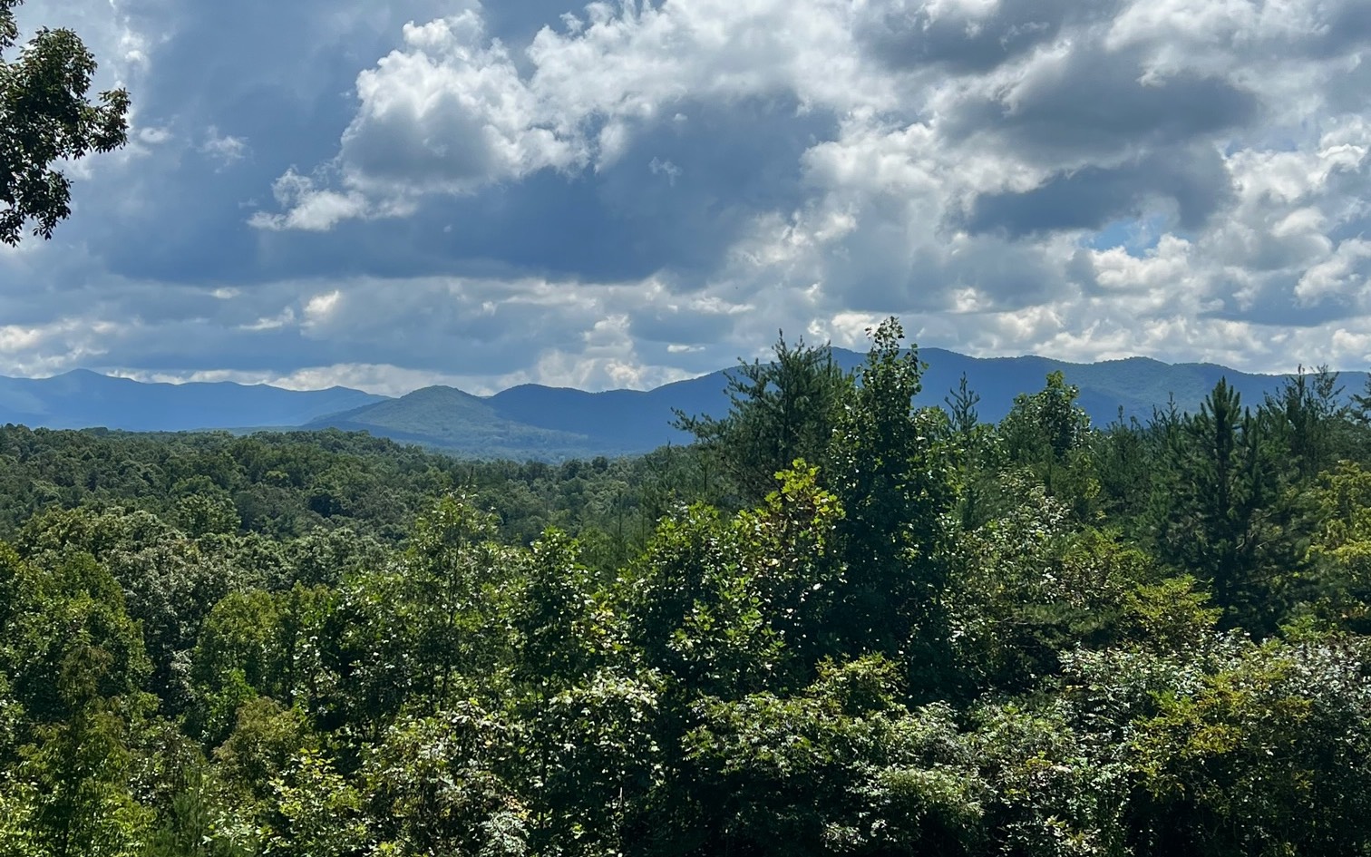 505 Brasstown Acres Drive