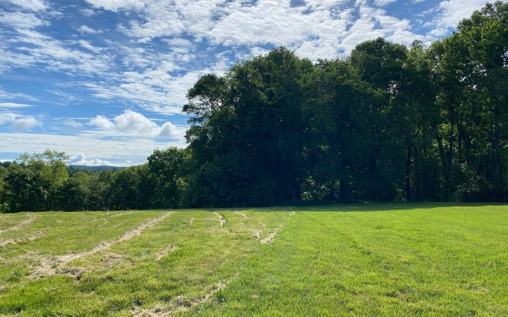 L 156 Owen Glen Overlook