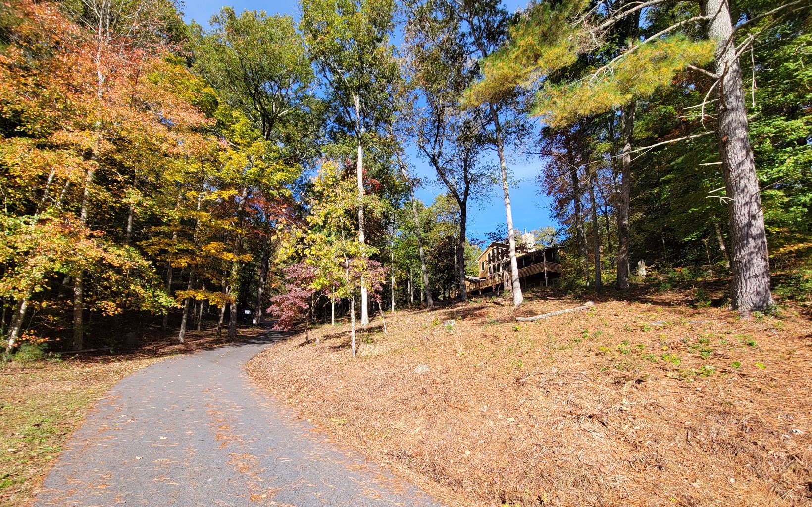 1131 E Pine Ridge Road