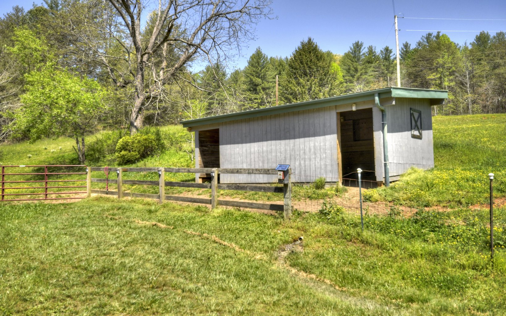 1131 E Pine Ridge Road