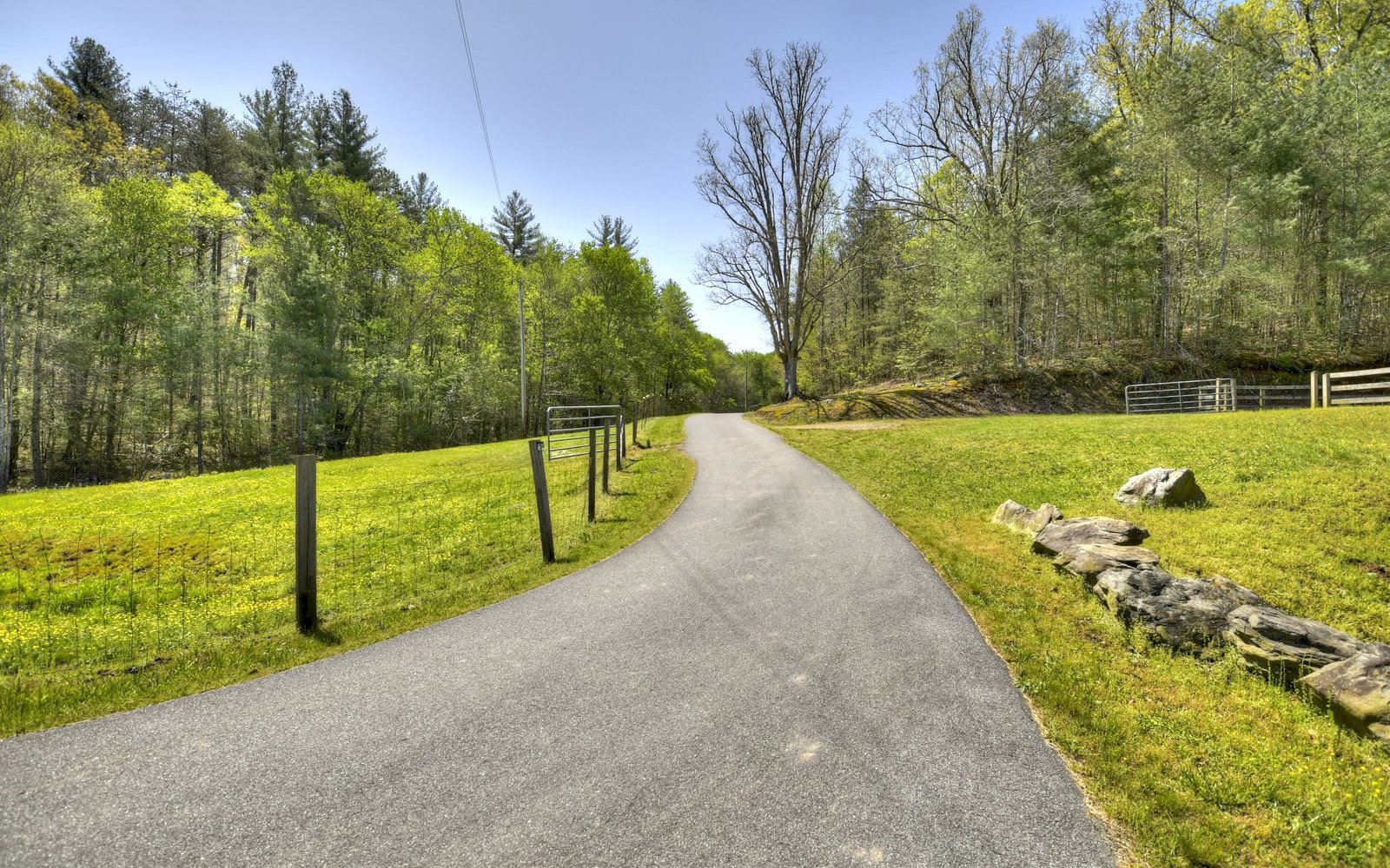 1131 E Pine Ridge Road