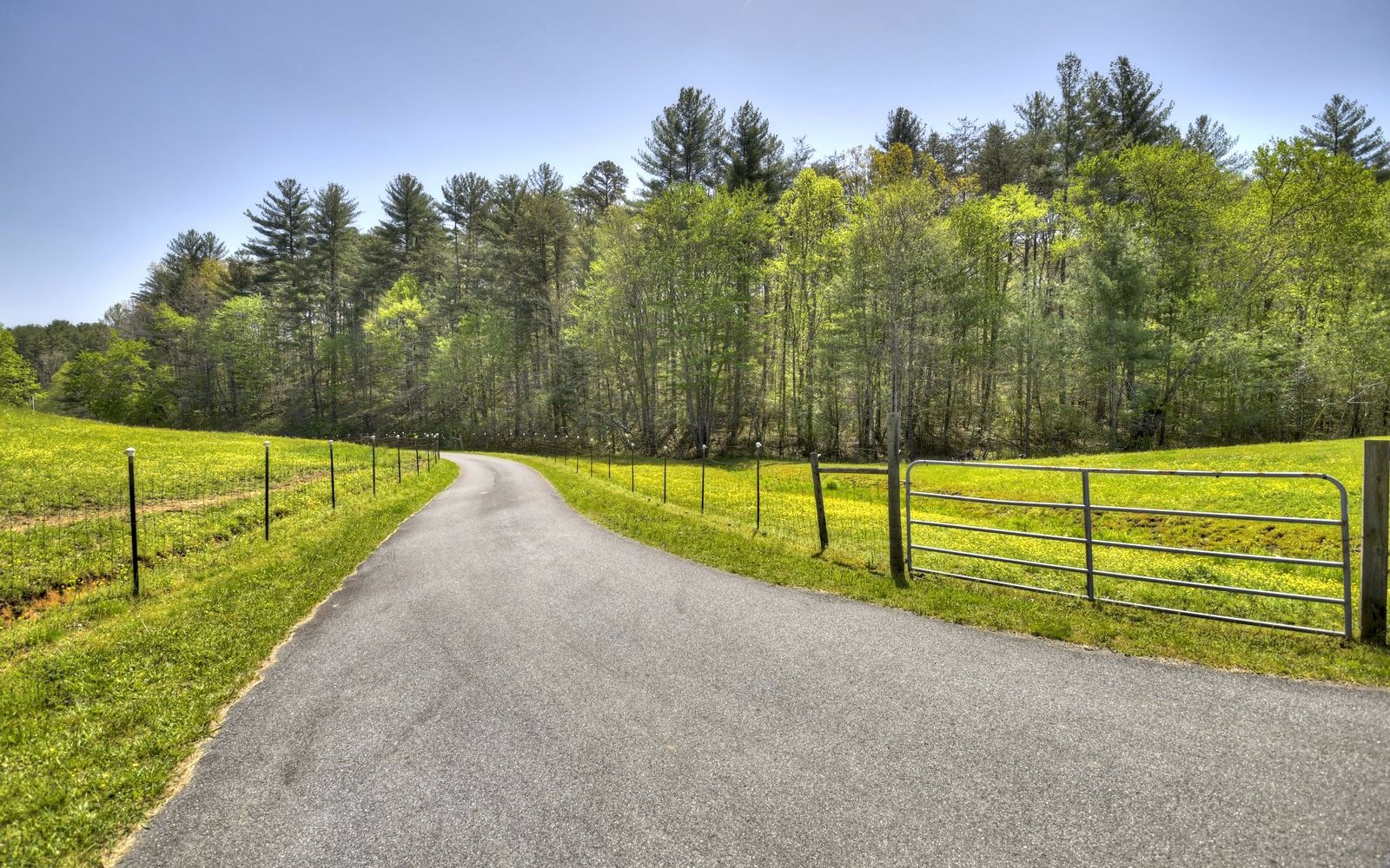 1131 E Pine Ridge Road