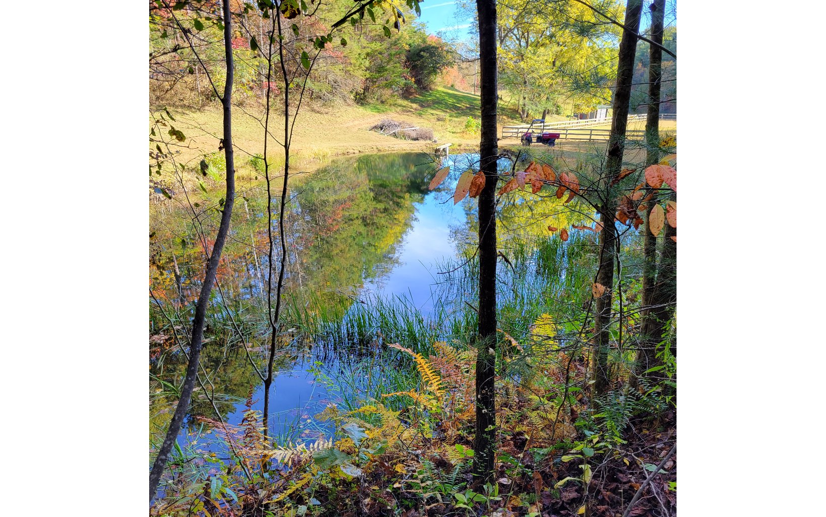 1131 E Pine Ridge Road