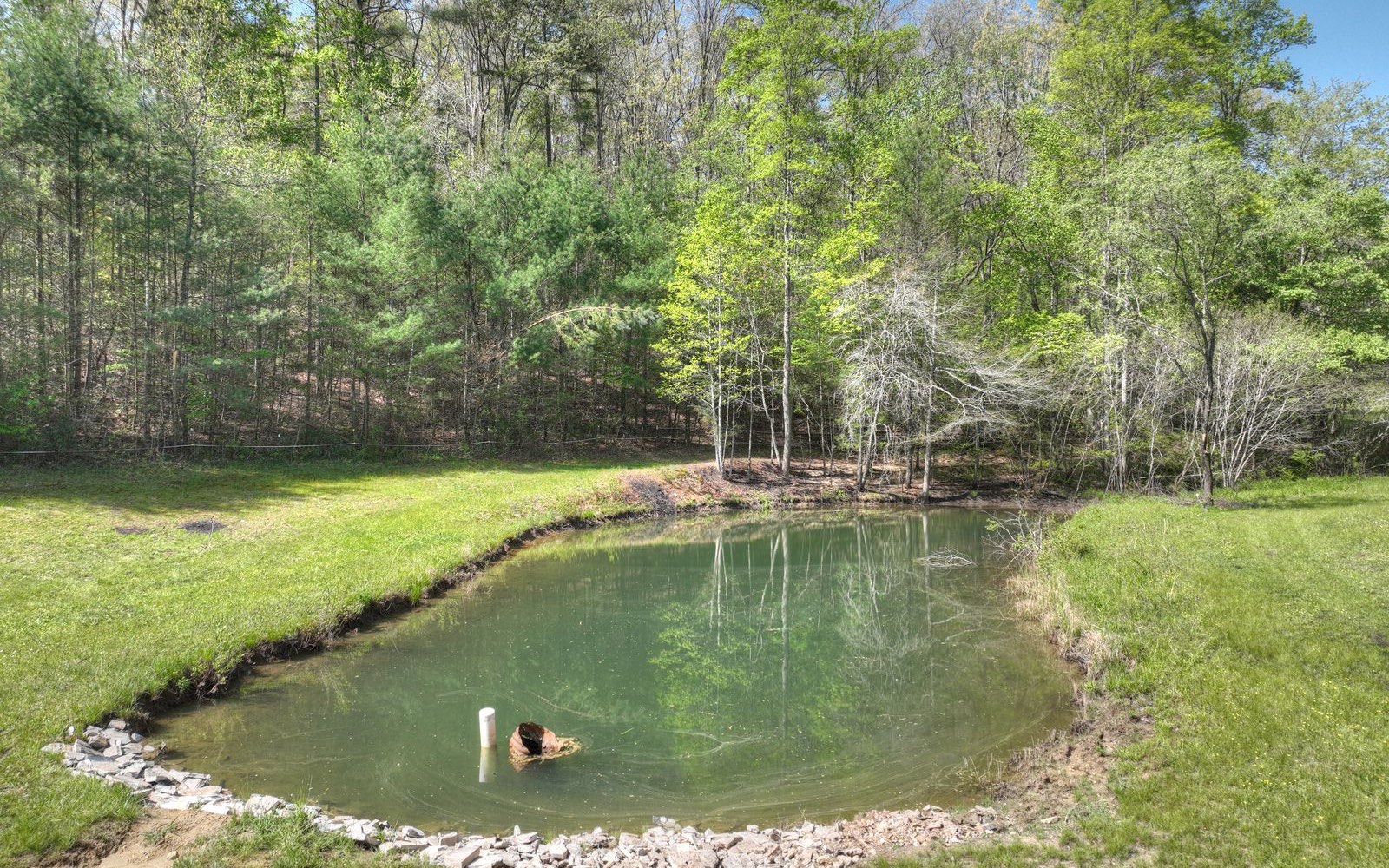 1131 E Pine Ridge Road