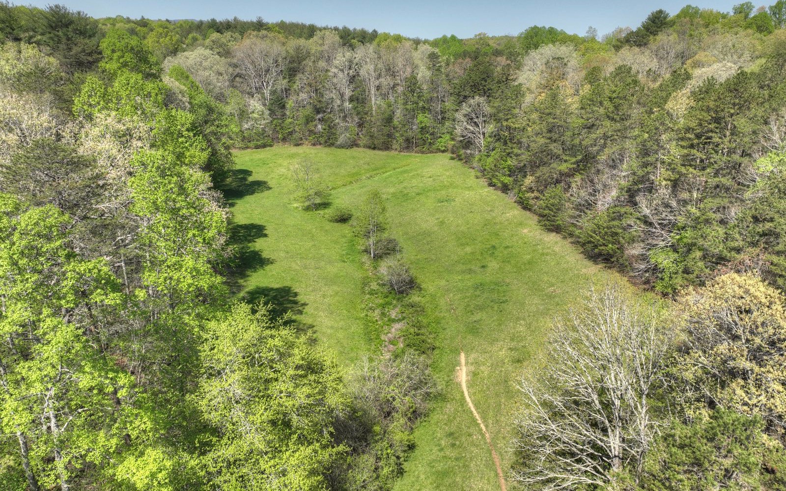 1131 E Pine Ridge Road