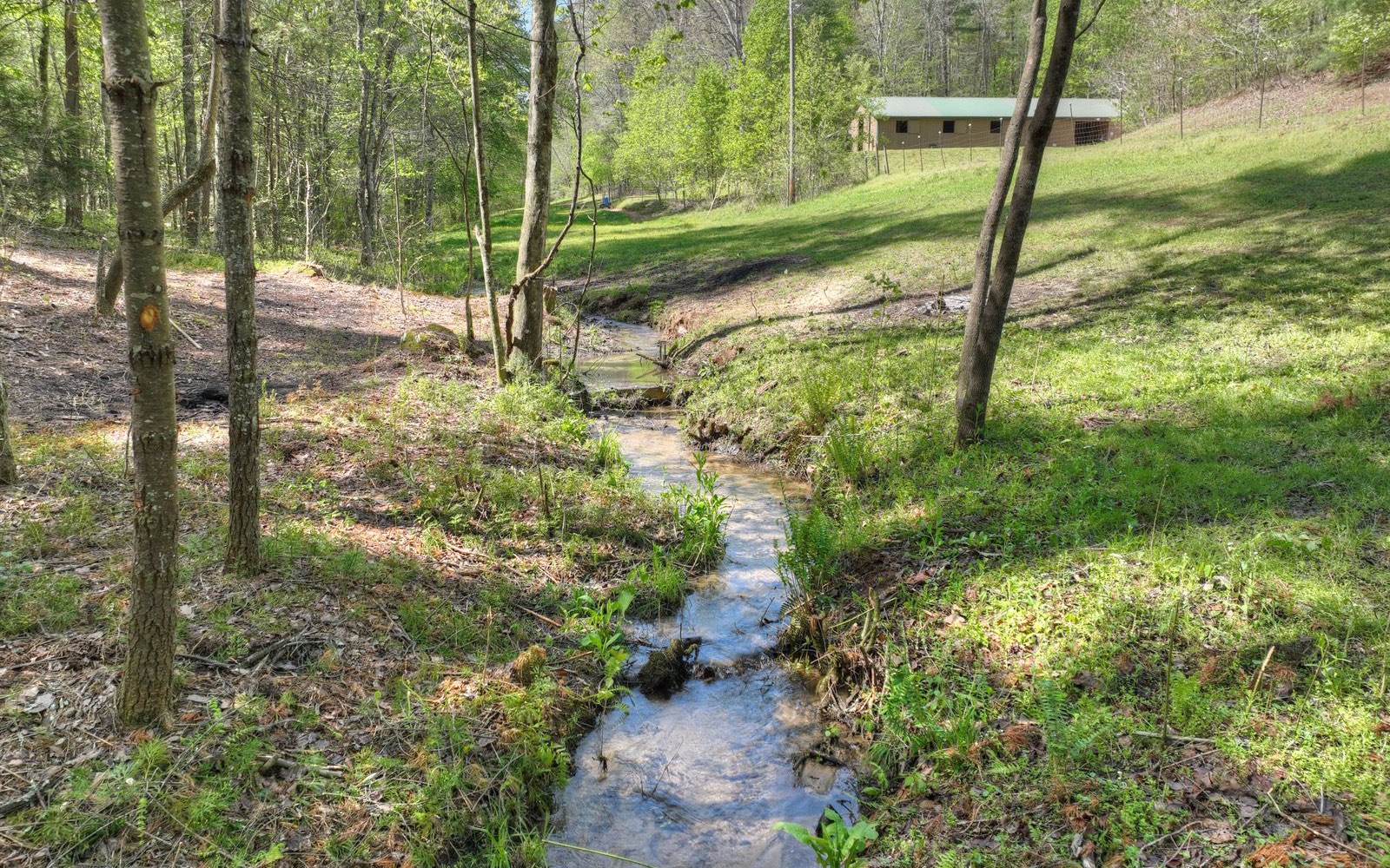 1131 E Pine Ridge Road