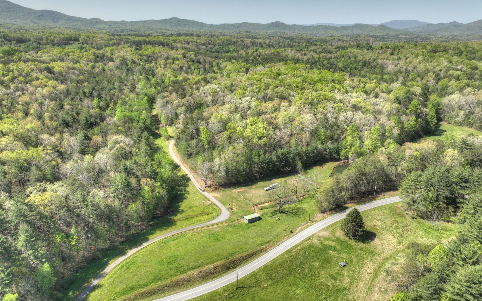 1131 E Pine Ridge Road