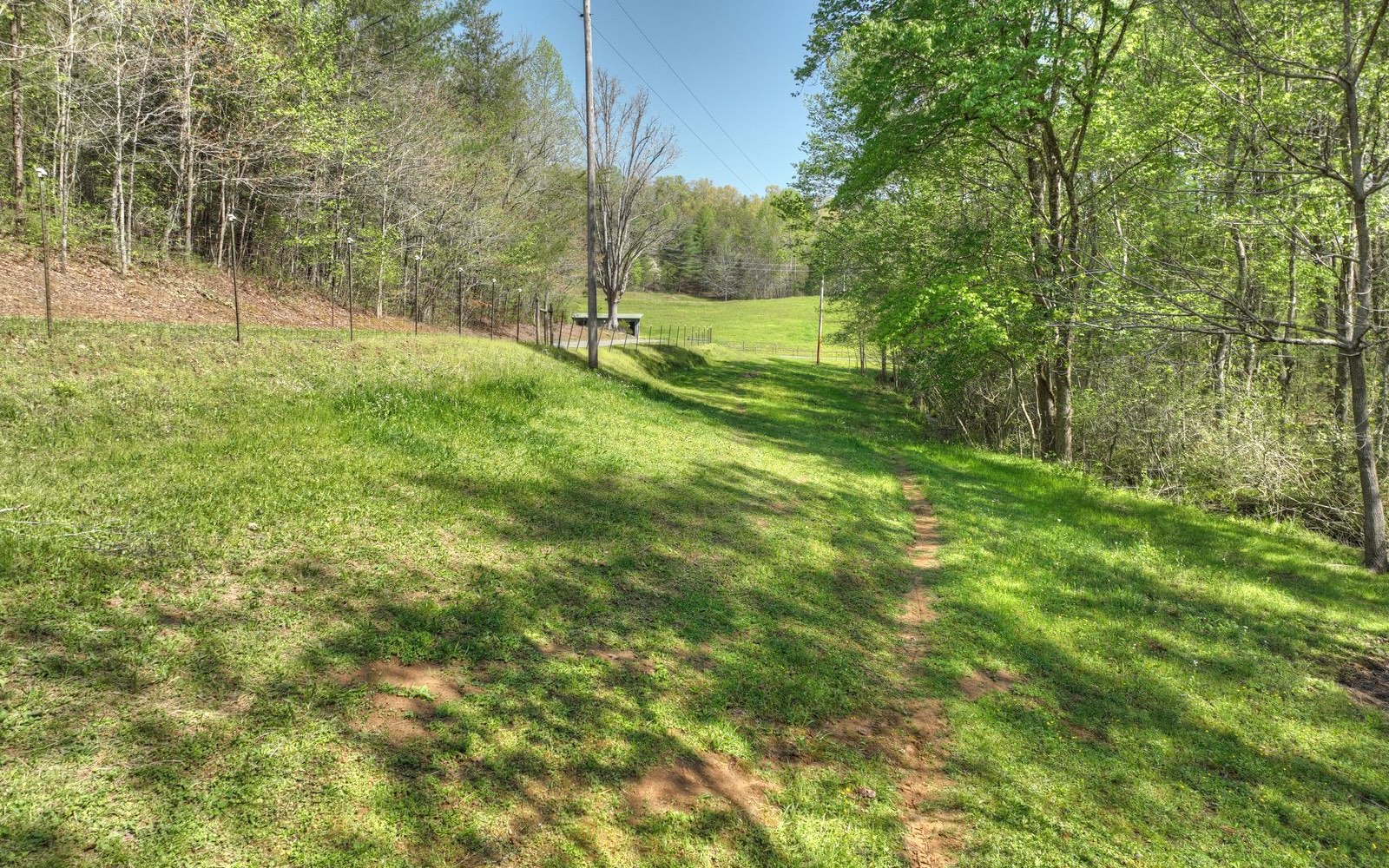 1131 E Pine Ridge Road