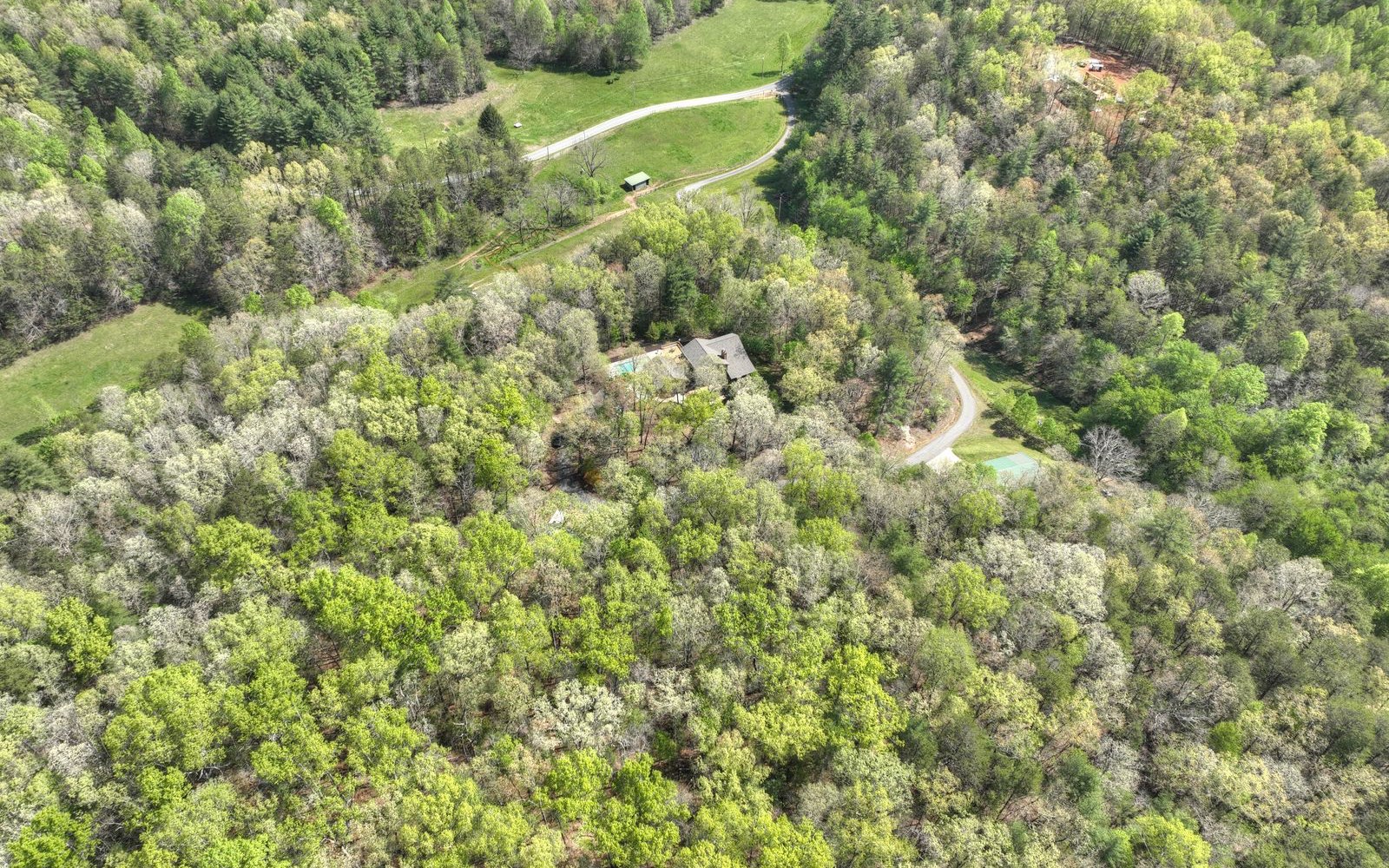 1131 E Pine Ridge Road