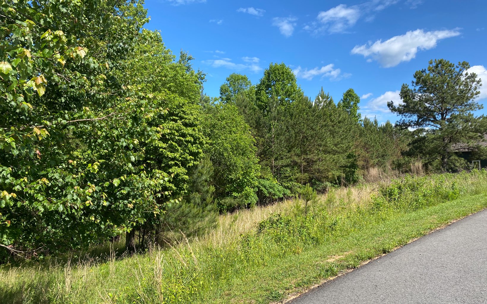 L 141 Fox Lake East- 141