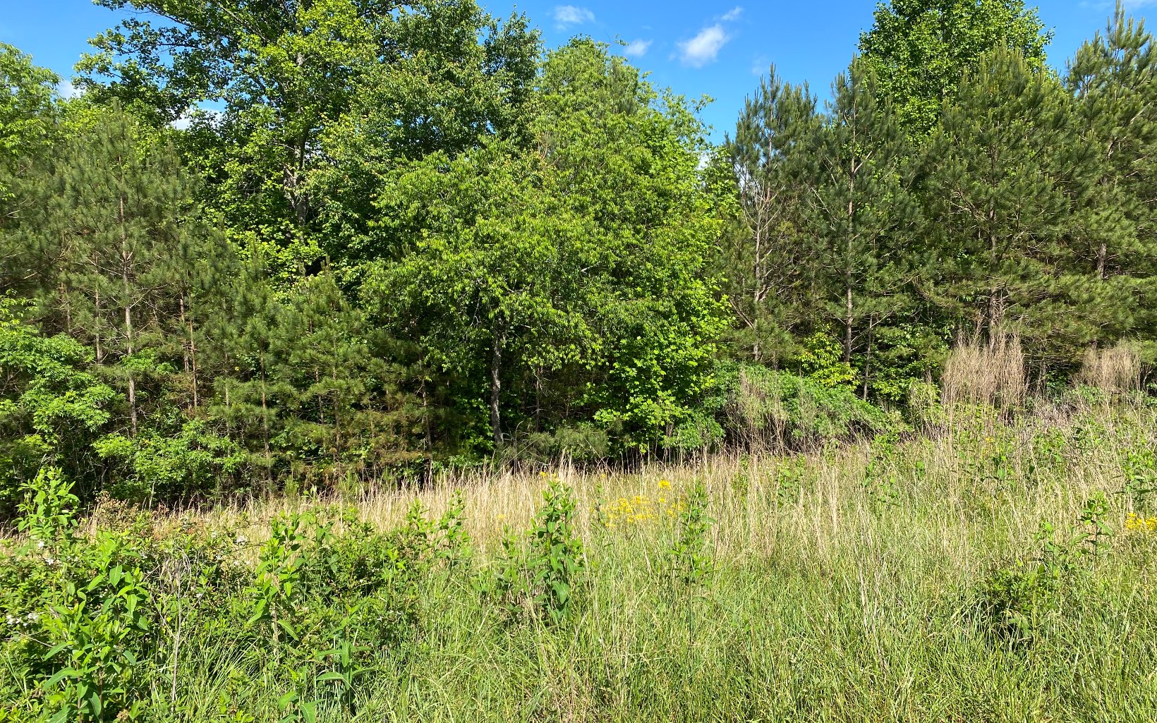 L 141 Fox Lake East- 141